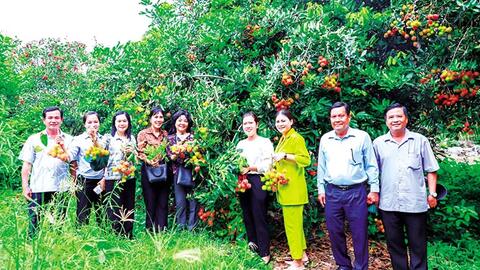 Thốt Nốt: Giá trị sản xuất nông nghiệp đạt hơn 2.656 tỉ đồng 