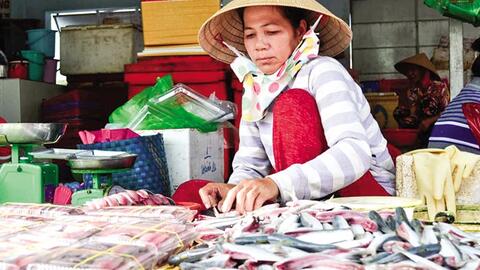 Gỏi cá trích kiểu... Phú Quốc 