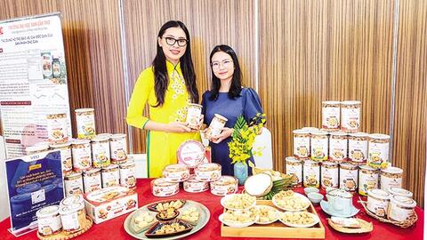 Nuôi dưỡng, ươm mầm các ý tưởng khởi nghiệp 