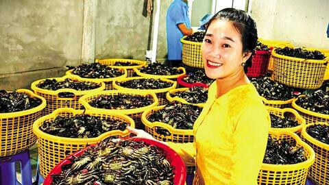 “Gắn sao” để đặc sản vươn xa 