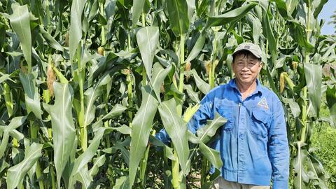 Đa dạng rau màu, trái cây phục vụ Tết Nguyên đán 