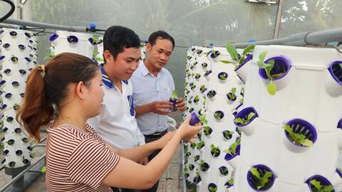 Cái Răng đưa nông nghiệp đô thị chuyển biến về chất 