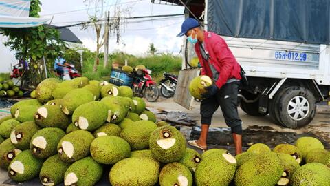 Dạo quanh thị trường 