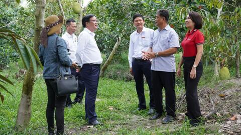 Năng động trồng mít Thái, phát triển kinh tế nông hộ từ nguồn vốn của Agribank 