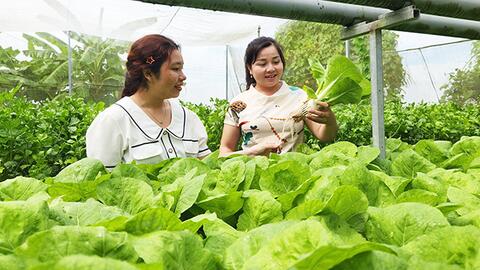 Điểm nhấn xã nông thôn mới kiểu mẫu Thới Hưng 
