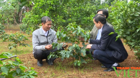 Cùng hội viên nông dân phát triển kinh tế nông nghiệp bền vững