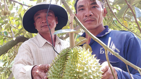 Những tỉ phú nông dân năng động 