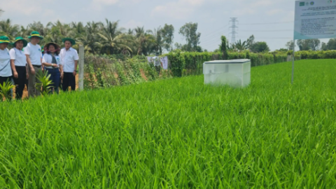 Thúc đẩy cơ giới hóa, ứng dụng khoa học công nghệ trong sản xuất nông nghiệp 