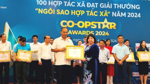 Những ngôi sao hợp tác xã 