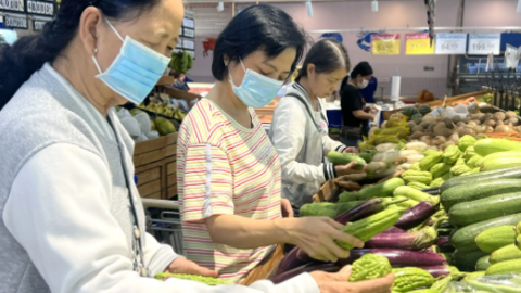 Hỗ trợ khu vực kinh tế tập thể và hợp tác xã phát triển thực chất và hiệu quả 