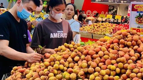 Central Retail đẩy mạnh kích cầu tiêu thụ vải thiều chín sớm năm 2024 
