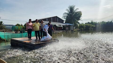 Vĩnh Bình đưa xây dựng nông thôn mới sang trang 