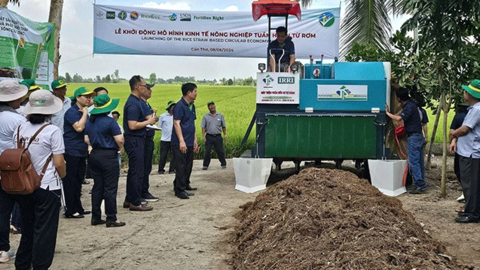 Khởi động mô hình kinh tế nông nghiệp tuần hoàn từ rơm 