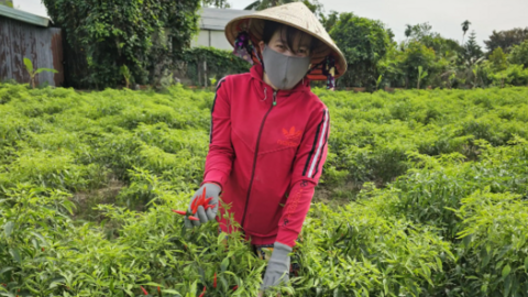 Dạo quanh thị trường 