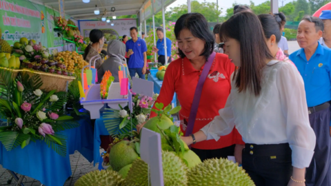 Phong Điền hỗ trợ nhà nông, phát huy thế mạnh vườn cây ăn trái 