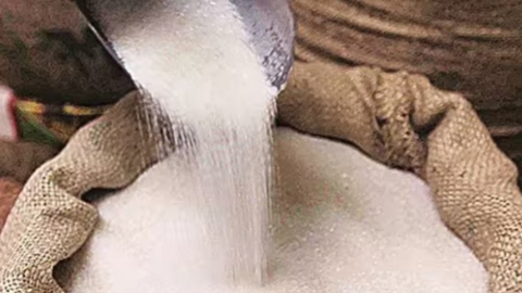 Dự báo thị trường đường toàn cầu thặng dư, giá đường sẽ biến động ra sao?