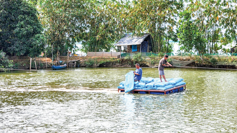 Thu hoạch hơn 800.000 tấn thủy sản 