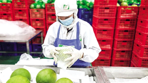 Hoa Kỳ là thị trường xuất khẩu lớn nhất của Việt Nam 