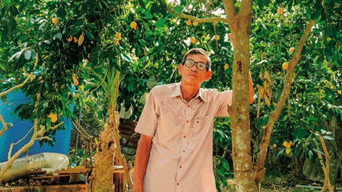 Sống khỏe nhờ trồng thanh trà ngọt ra trái nghịch vụ 