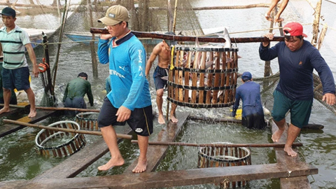 Sản lượng thủy sản tăng 2,7% so cùng kỳ 