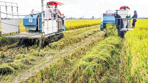 Mô hình thí điểm thành công, thuận lợi nhân rộng 