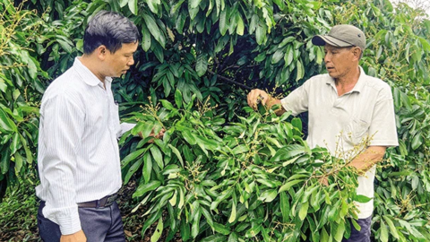 Ô Môn hỗ trợ nhà nông nâng cao giá trị sản phẩm nông sản 