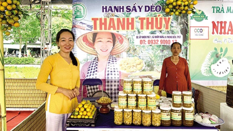 Lập nghiệp với hạnh sấy dẻo 