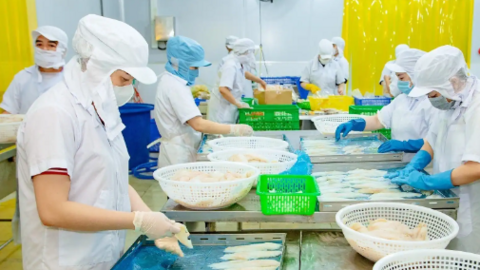 Xây dựng hợp tác xã điển hình cho các ngành hàng chủ lực 