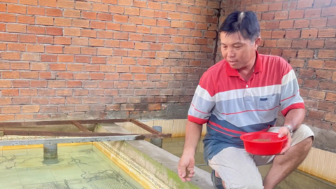 Làm giàu với mô hình nuôi ếch, nuôi lươn không bùn 