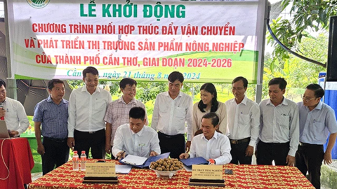 Phối hợp thúc đẩy vận chuyển và phát triển thị trường sản phẩm nông nghiệp của TP Cần Thơ 