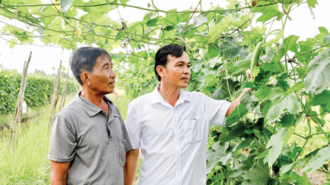 Khích lệ, hỗ trợ nông dân sản xuất 