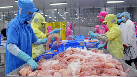Xuất khẩu cá tra giá trị gia tăng sang Anh có tín hiệu tích cực