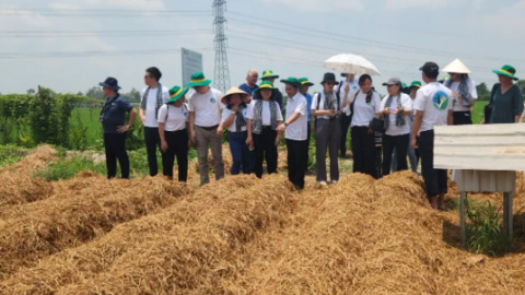 Liên kết, hợp tác tái cơ cấu ngành Nông nghiệp, nâng chất chuỗi giá trị nông sản 