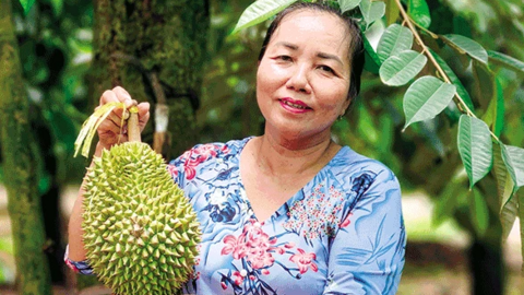 Hỗ trợ chủ thể OCOP làm thương hiệu sản phẩm 
