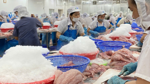 DN cần tăng cường giới thiệu sản phẩm, để đẩy mạnh XK cá tra sang Singapore