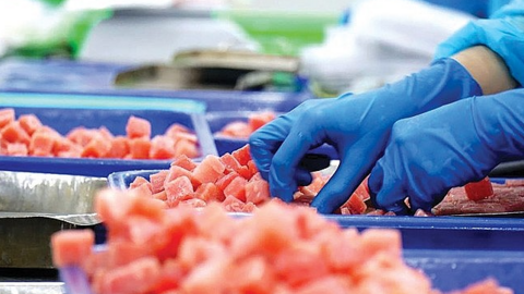 Israel mua con gì của Việt Nam mà tốc độ tăng tới 3 con số trong tháng 9/2024