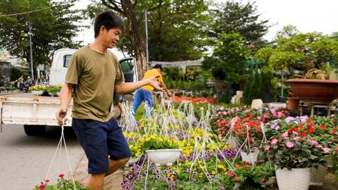 Đà Nẵng: Hoa tết rộn ràng xuống phố, chủ vườn ngóng chờ người mua