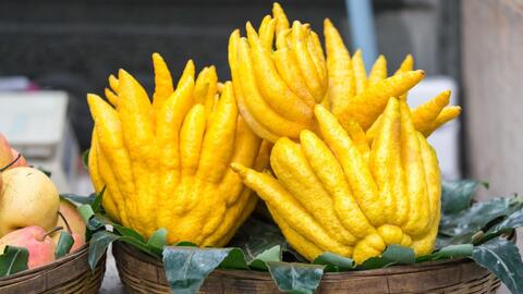 Công dụng chữa bệnh của quả phật thủ