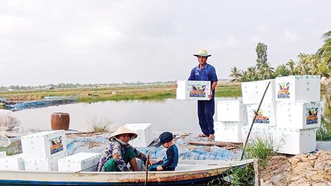 Sôi động thị trường tôm giống 