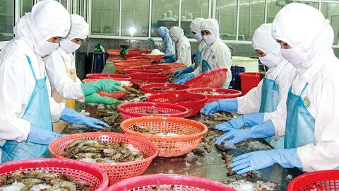 Xuất khẩu tôm vẫn chưa hết lo 