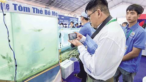Ngành tôm hướng đến phát triển xanh, bền vững 