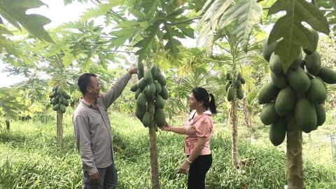 Đáp ứng nhu cầu tạo việc làm, tăng thu nhập 
