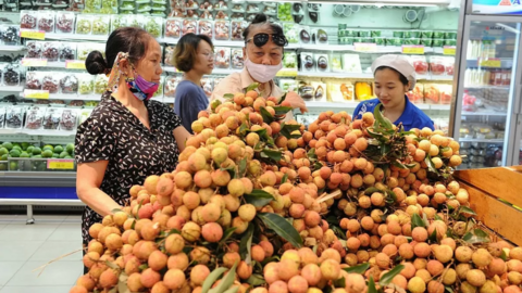 Giải ‘bài toán’ tiêu thụ sản phẩm miền núi, vùng sâu, vùng xa