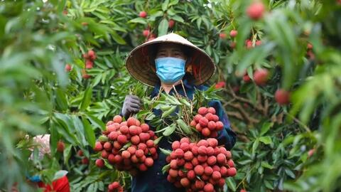 Bước đột phá phát triển kinh tế nông thôn bền vững
