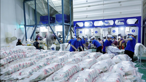 Kiến nghị nâng hạn ngạch xuất khẩu gạo sang EU theo EVFTA