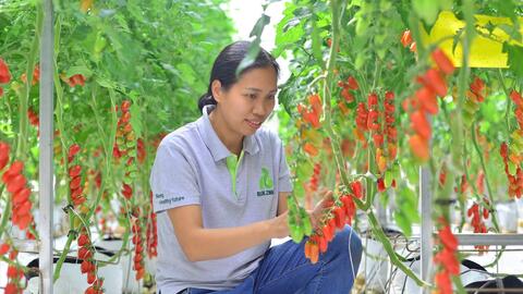 Để đạt mục tiêu tăng trưởng ngành nông nghiệp