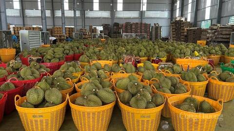 Đắk Lắk: Kim ngạch xuất khẩu đạt hơn 2 tỷ USD trong 8 tháng