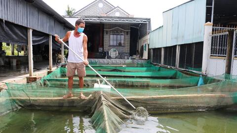 Sức mua yếu, giá giảm sâu 