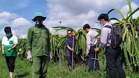 Việt Nam gửi mẫu đất sang Hà Lan để kiểm định chất lượng