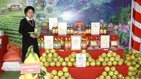 Yên Bái nâng cao chất lượng, mở rộng thị trường tiêu thụ sản phẩm OCOP